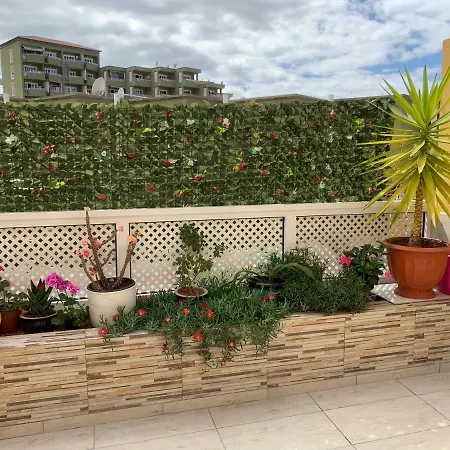 Orlando Apartment *